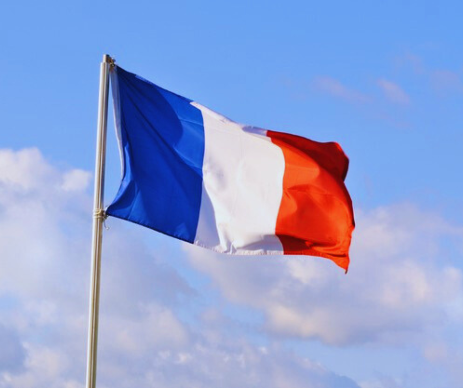 Service Sector Recovery Provides Boost for French Interiors & Furniture Market Despite Industrial Slowdown