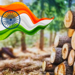 Indiawood 2026 Gears Up to Power Growth in Woodworking & Furniture Production